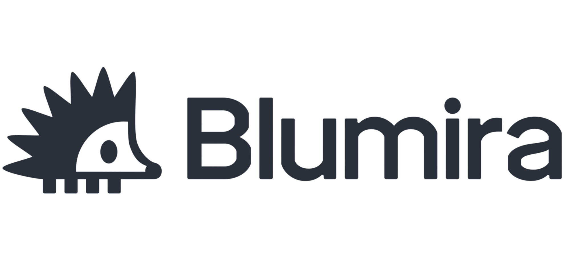 Blumira-1